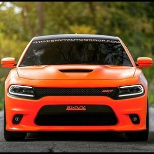 Meet your Posher, Steve